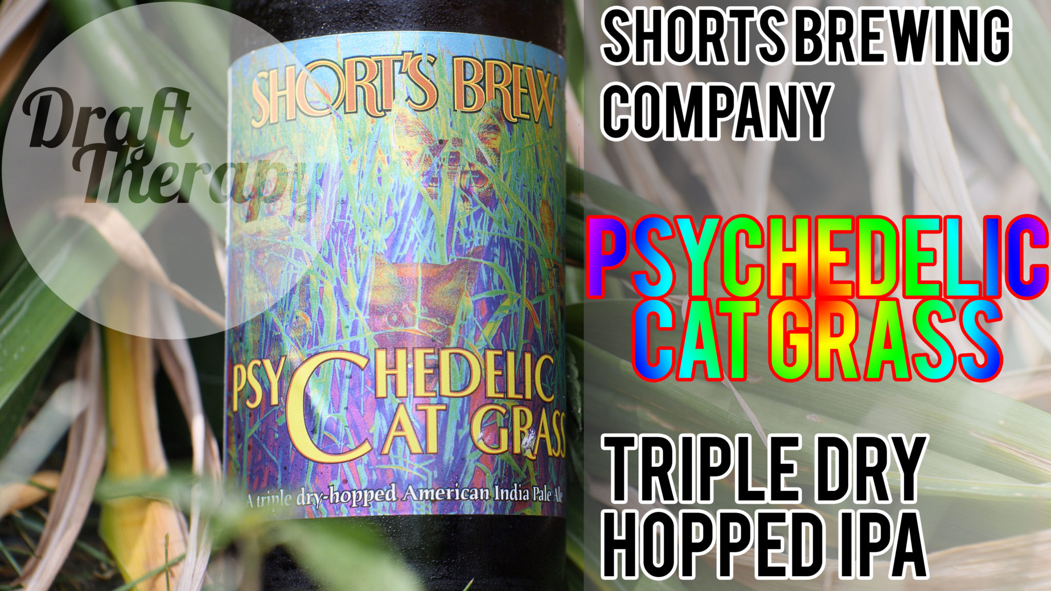 You are currently viewing Shorts Psychedelic Cat Grass – Triple Hopped IPA Review