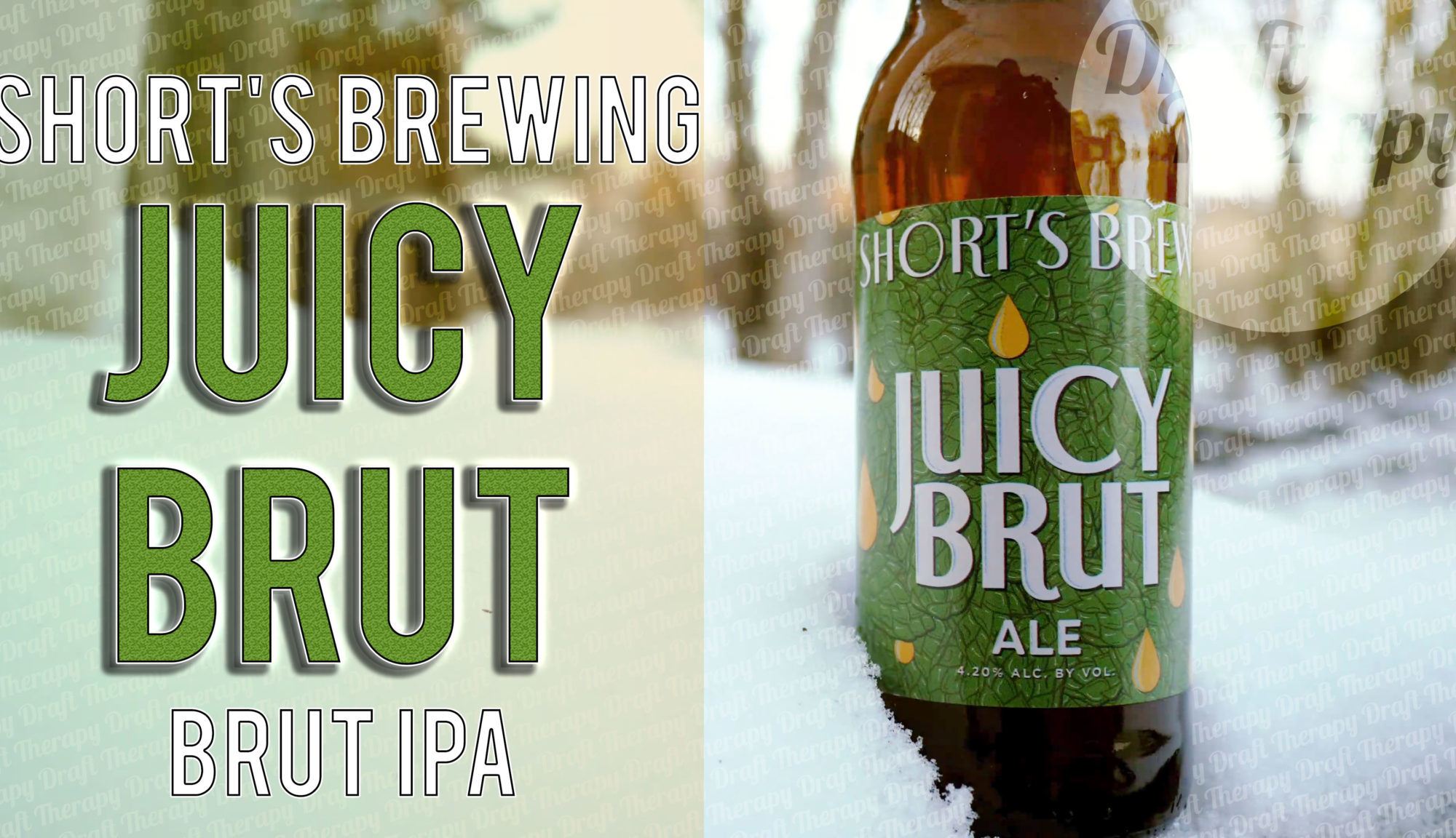how to shrink running shorts brewery